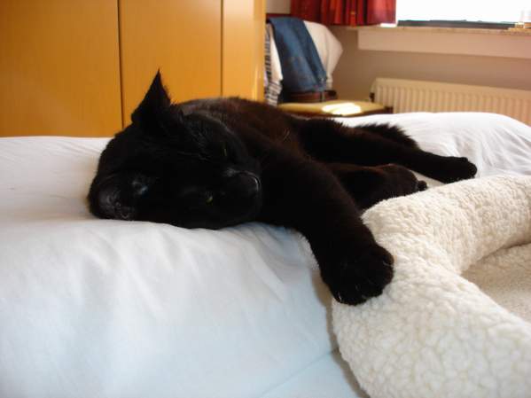 dsc13065.jpg