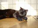 dsc13060.jpg