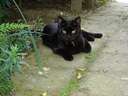 dsc13189.jpg