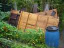 dsc07987.jpg