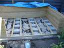 dsc07996.jpg