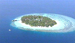 The Maldives