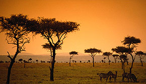 Kenya